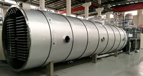 大型商用凍干機(jī)藥品果蔬食品真空冷凍干燥機(jī)